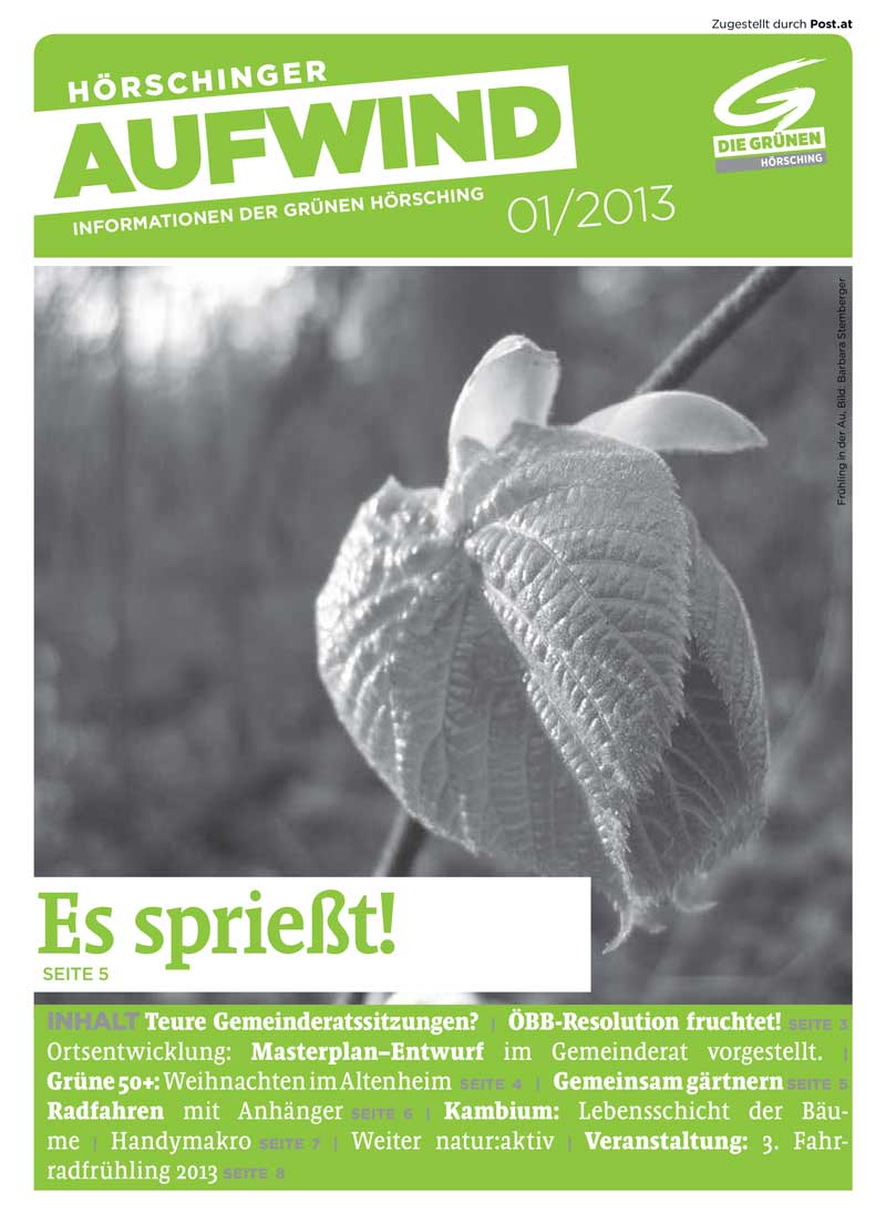 2013 Aufwind 1