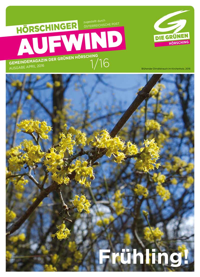 2016 Aufwind 1