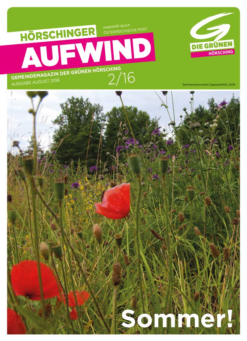 2016 Aufwind 2