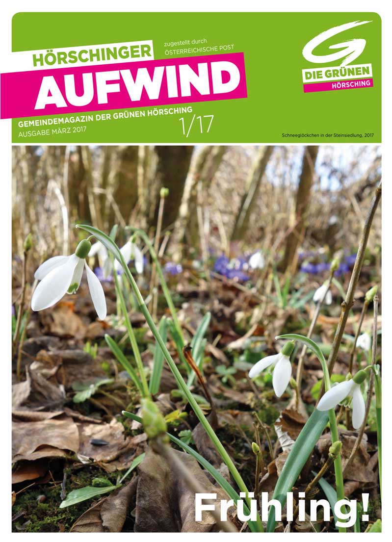 2017 Aufwind 1