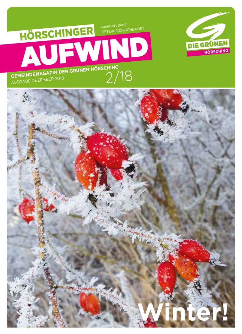 2018 Aufwind 2