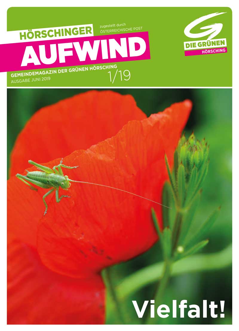 2019 Aufwind 1