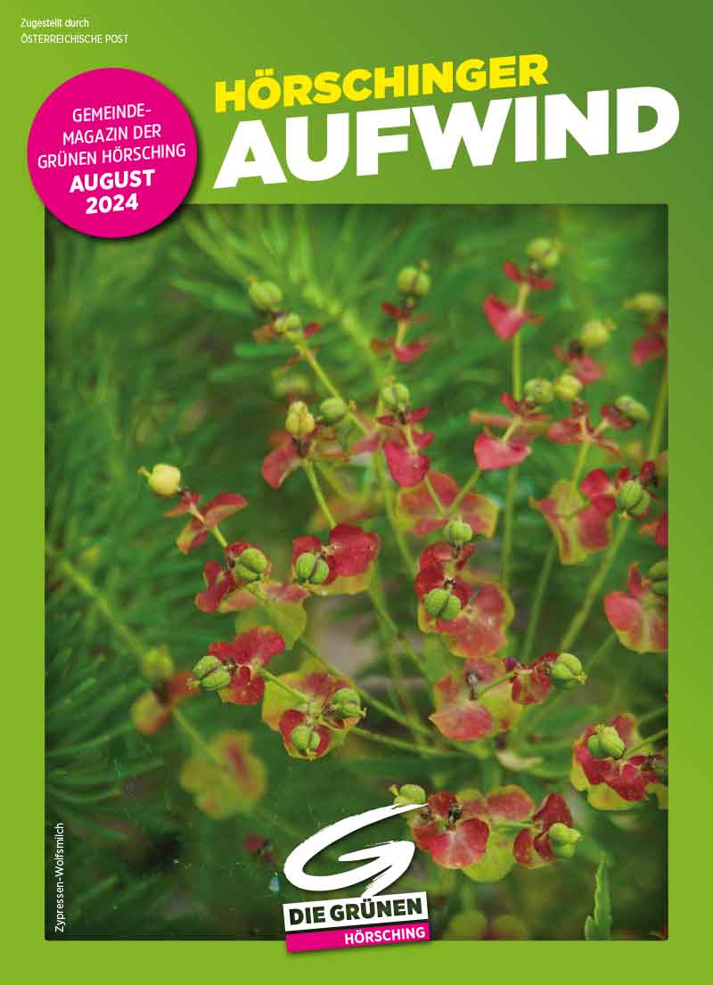 2024 Aufwind 1